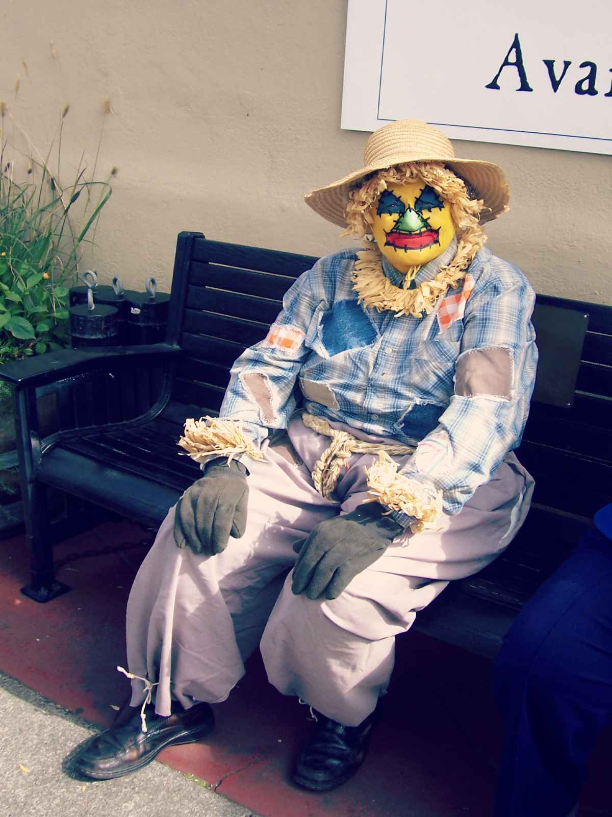 A scare crow in a costume contest at Half Moon Bay Pumpkin Festival in California