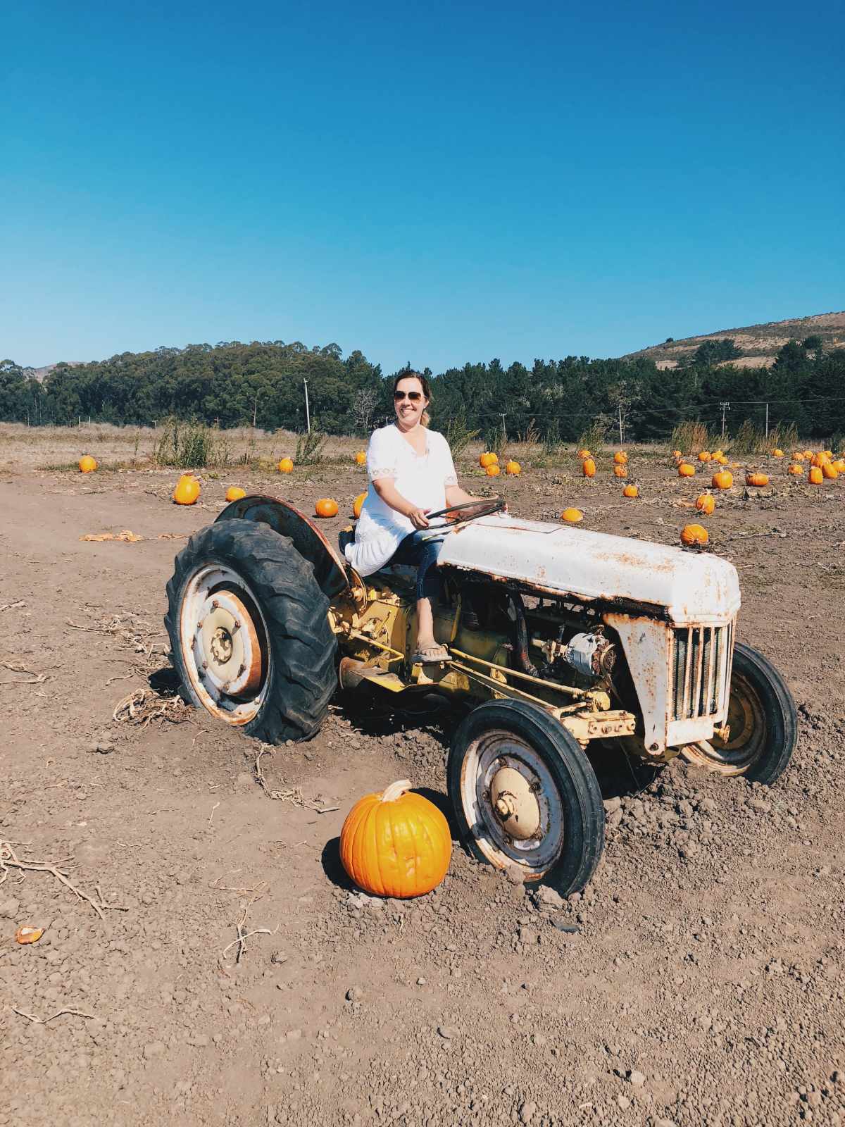 Blogger Paula posing on top of a tractor at Bob's Pumpkin Farm in Sf Bay Area