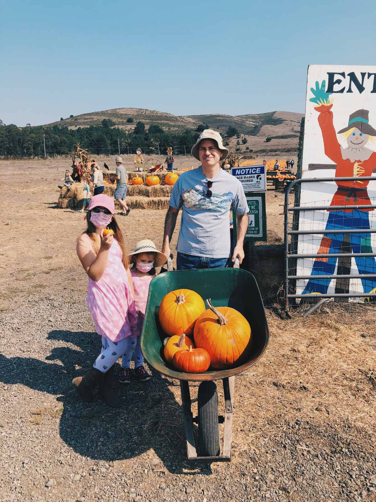 Our kids and the dad with a wheelbarrow full of pumpkins in Bob's pumpkin patch in AF Bay Area