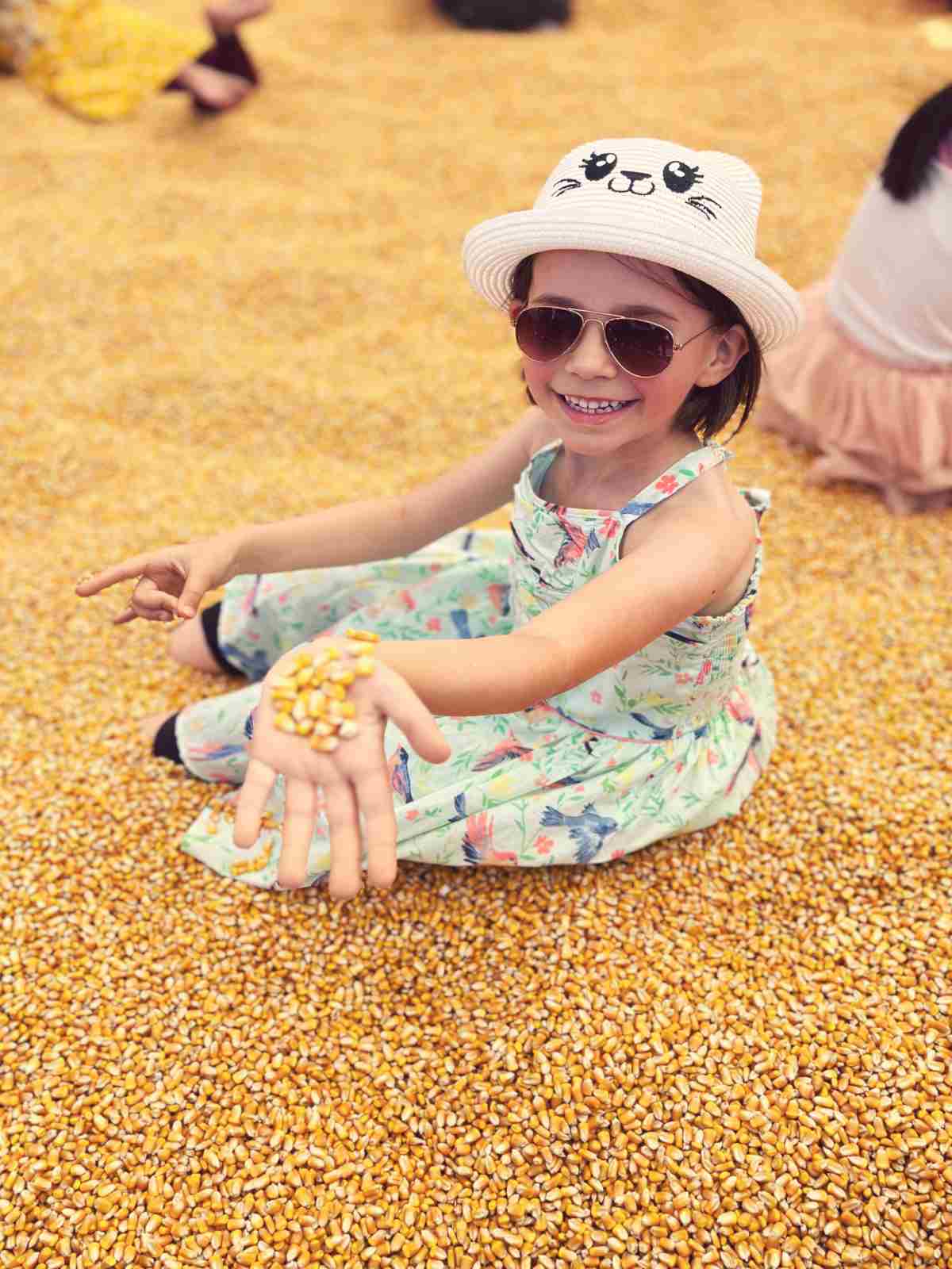 Our daughter in a corn pool at G&M Farms Pumpkin Patch at SF Bay Area.
