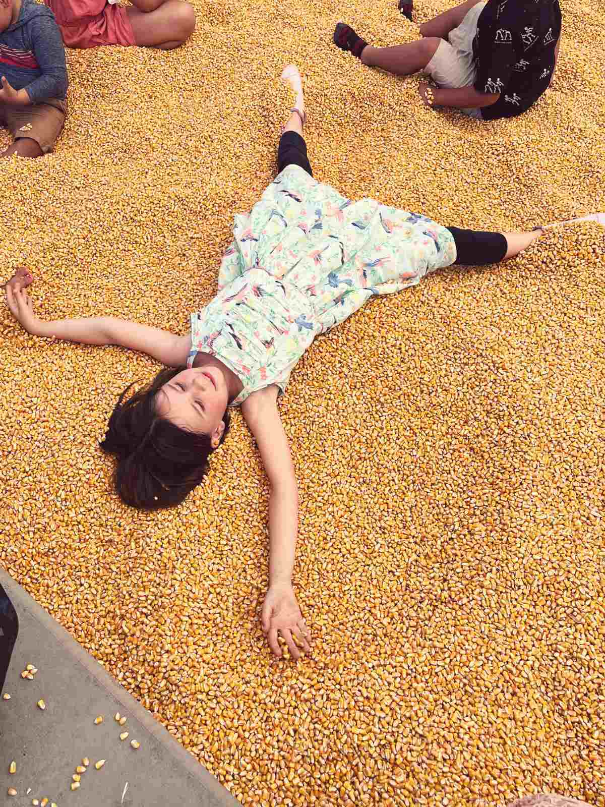Our daughter doing corn angles in a corn pool at G&M Farms Pumpkin Patch at SF Bay Area.