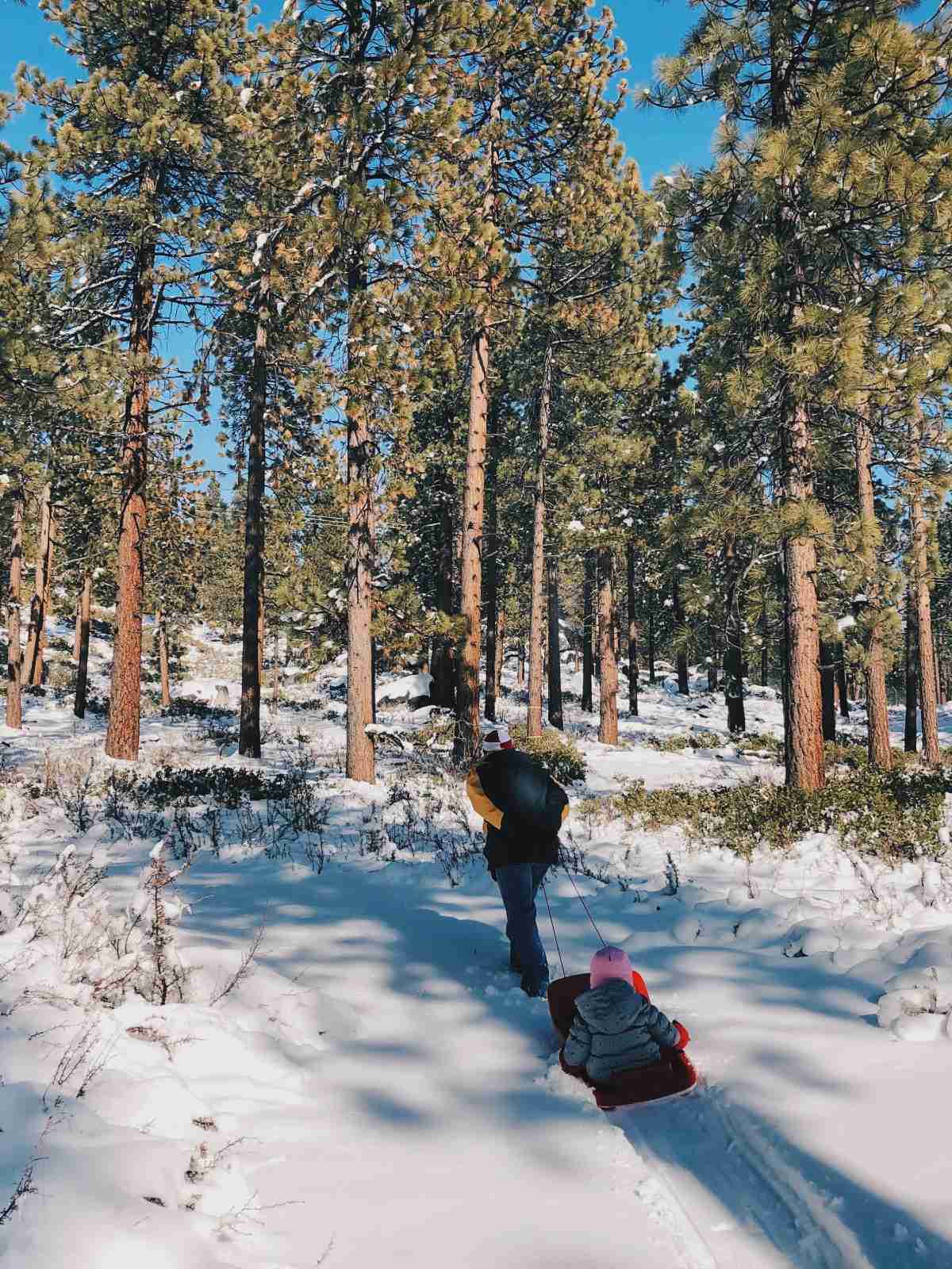 Our little one in a sledge pulled by the dad at snow in Lake Tahoe, California