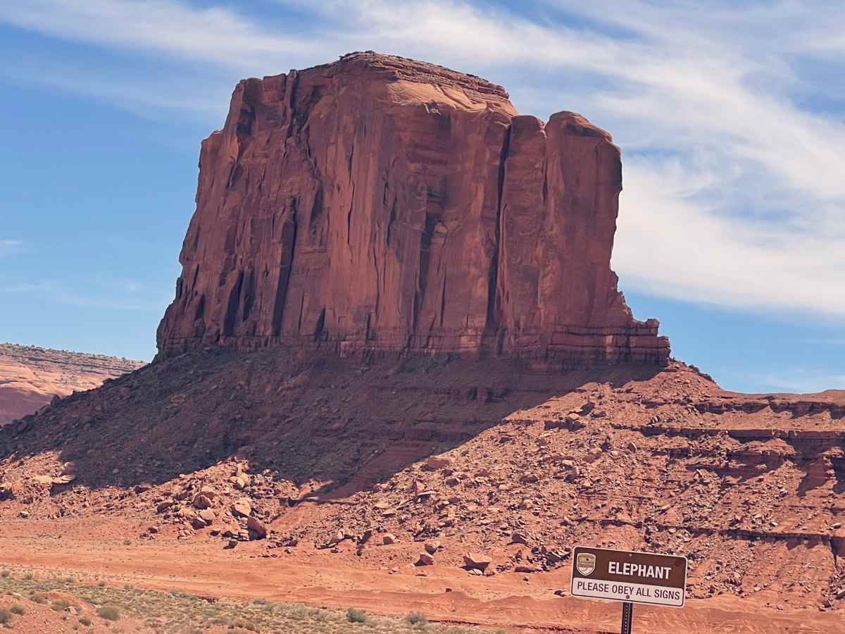 Elephant butte, eli elefantin mallinen kivipaasi Arizonan Monument Valleyssä