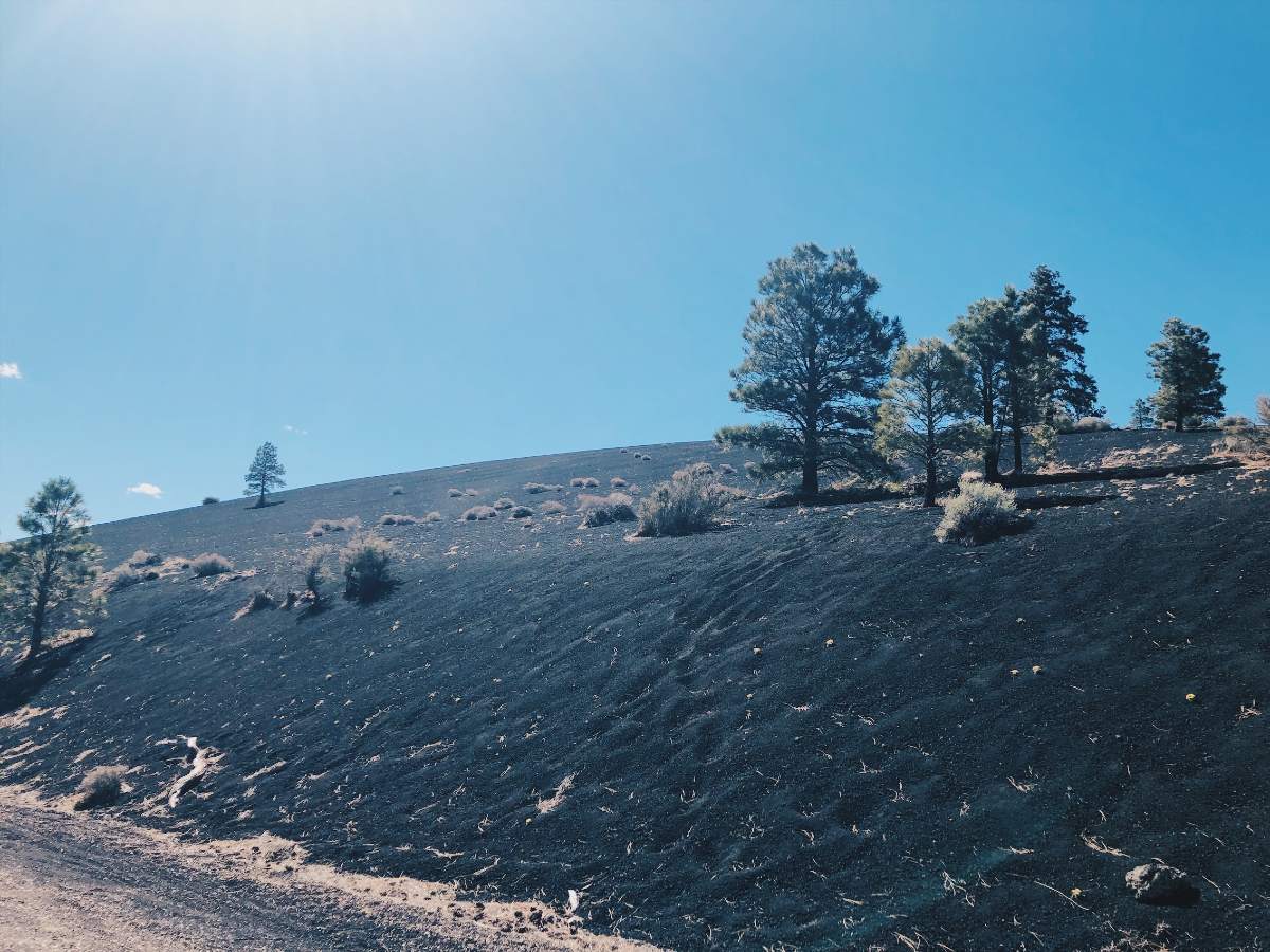 Black ash on the ground at Sunset Crater Volcano National Monument in Arizona.