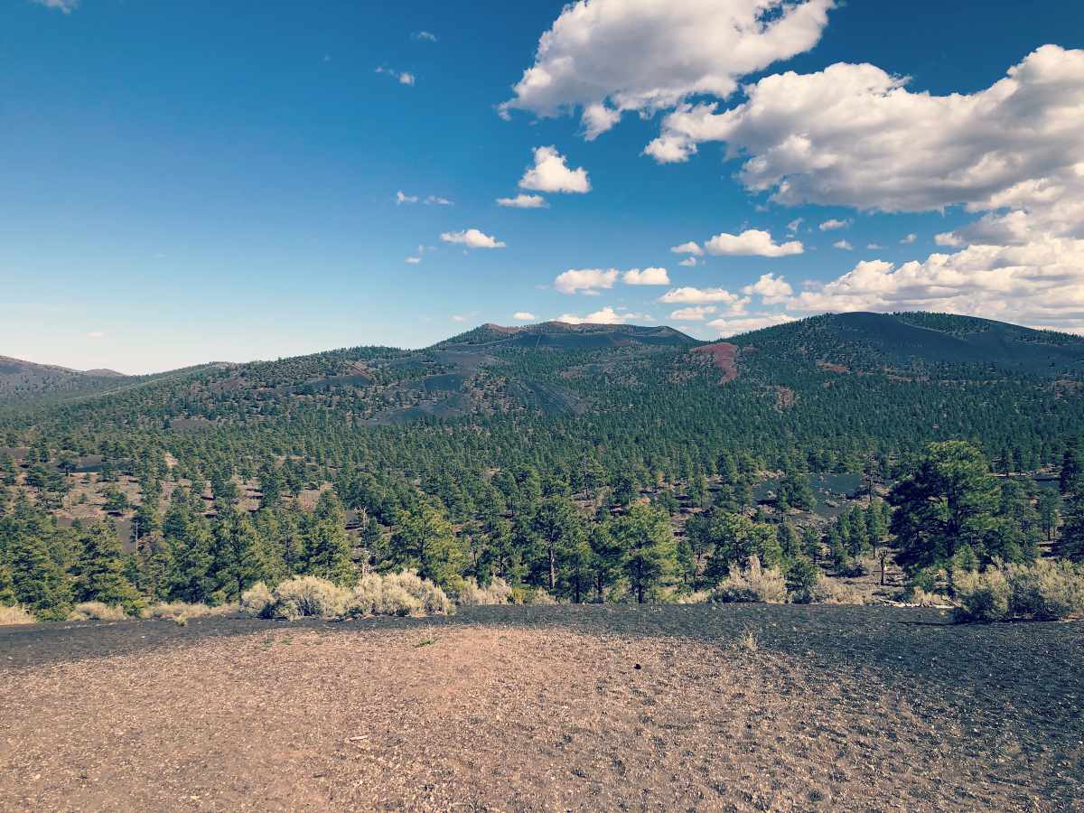 Scenery at Sunset Crater Volcano National Monument in Arizona.