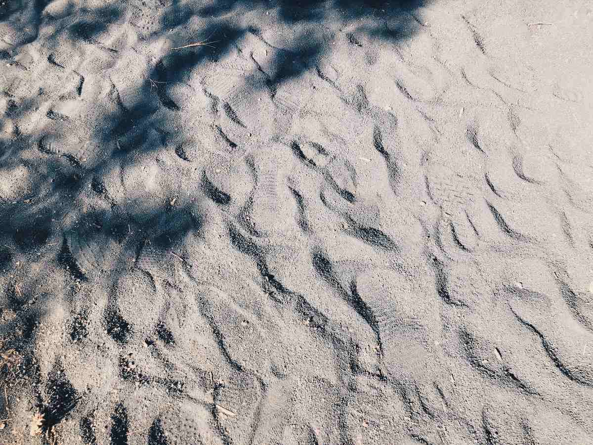 Ash on the ground at Sunset Crater Volcano National Monument in Arizona.