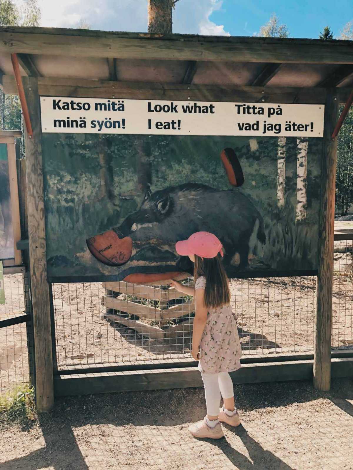 Meidän tytär lukemassa kylttejä Ähtärin eläinpuistossa