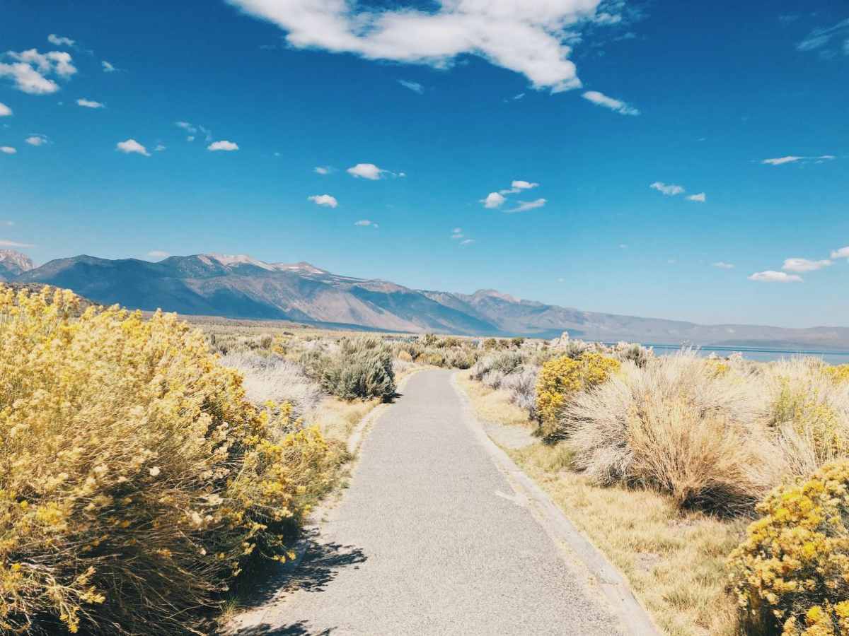 A trail at Mono Lake in California.